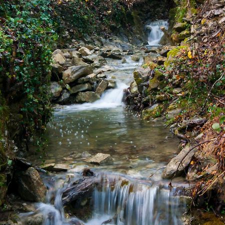 Secret Gardens Bed and Breakfast Borgomaro Εξωτερικό φωτογραφία