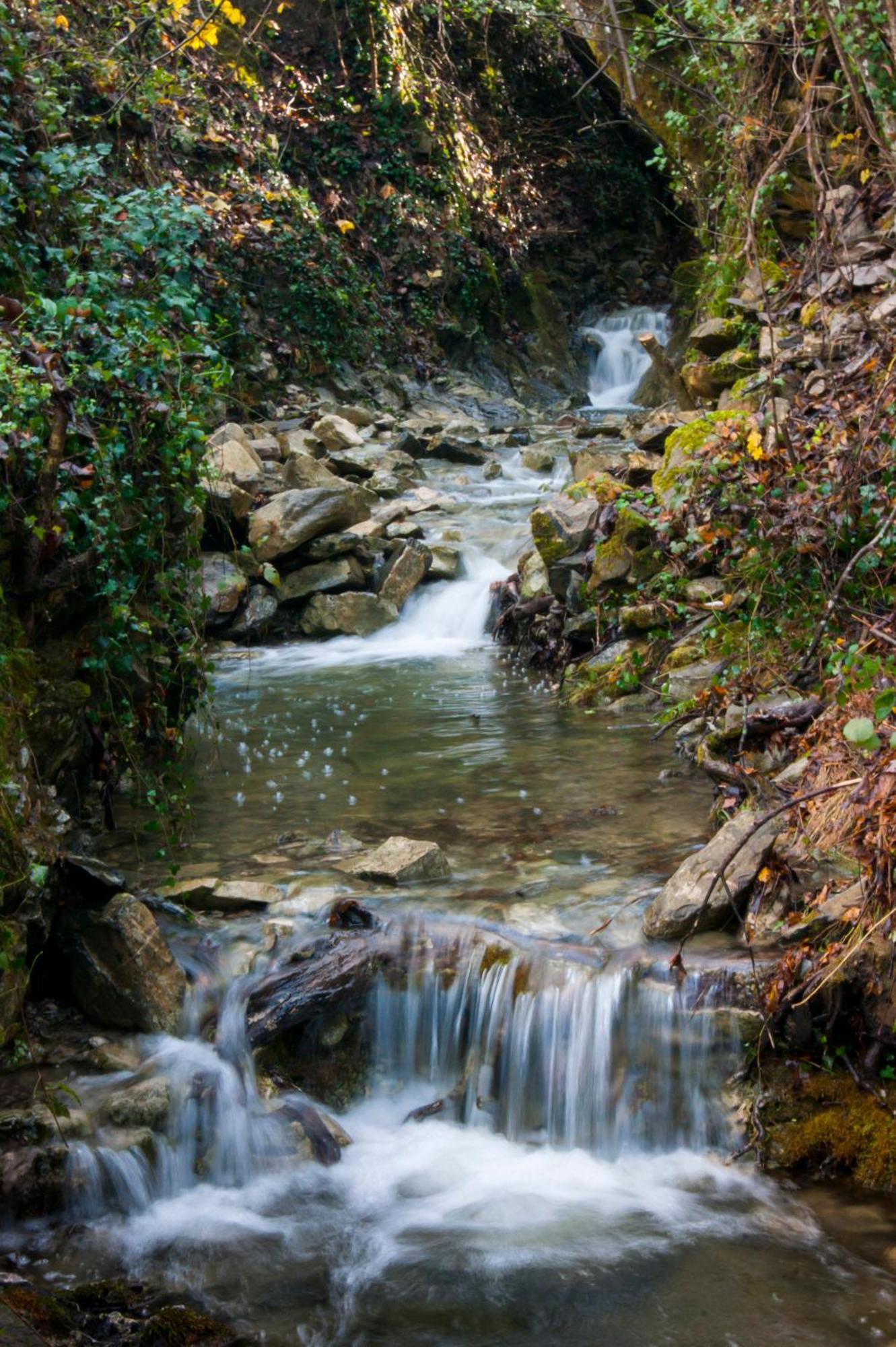Secret Gardens Bed and Breakfast Borgomaro Εξωτερικό φωτογραφία