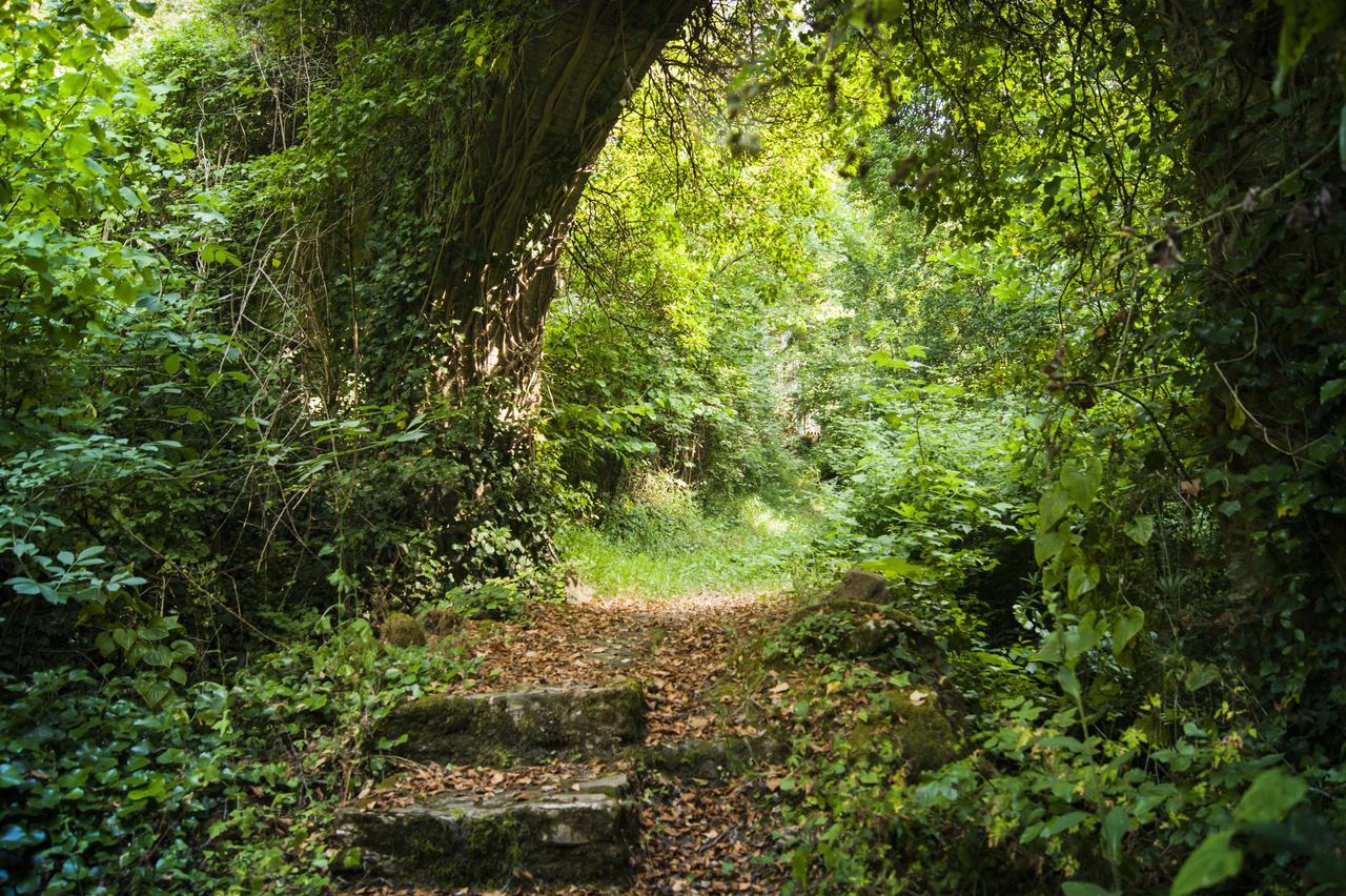 Secret Gardens Bed and Breakfast Borgomaro Εξωτερικό φωτογραφία
