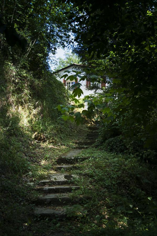 Secret Gardens Bed and Breakfast Borgomaro Εξωτερικό φωτογραφία