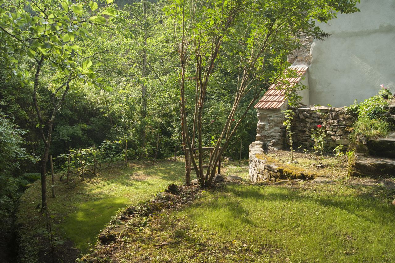 Secret Gardens Bed and Breakfast Borgomaro Εξωτερικό φωτογραφία