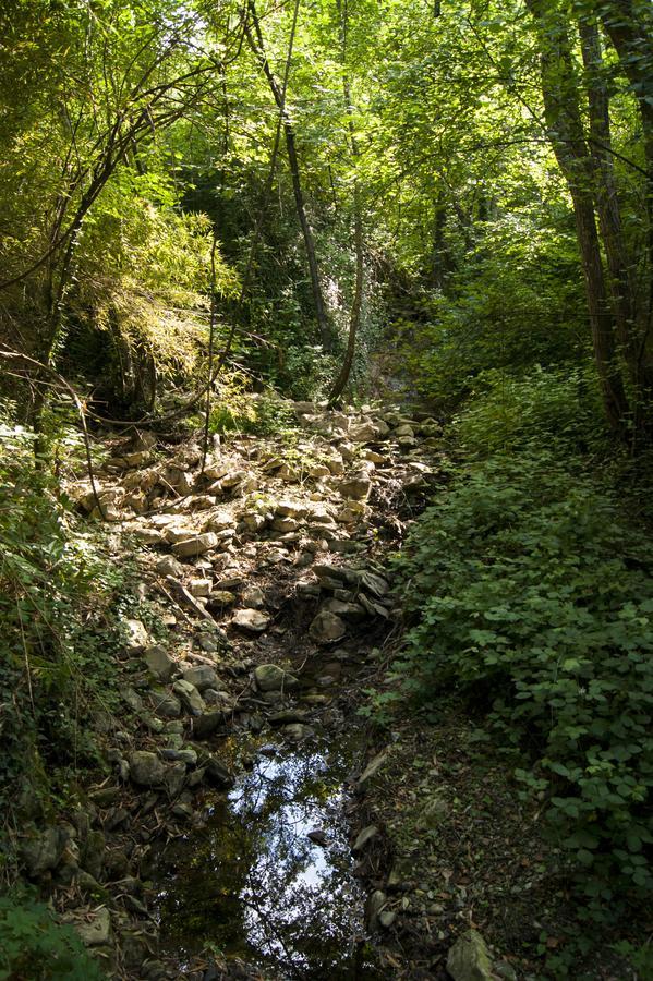 Secret Gardens Bed and Breakfast Borgomaro Εξωτερικό φωτογραφία