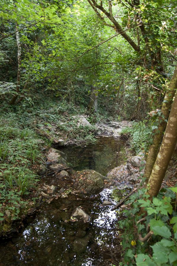 Secret Gardens Bed and Breakfast Borgomaro Εξωτερικό φωτογραφία