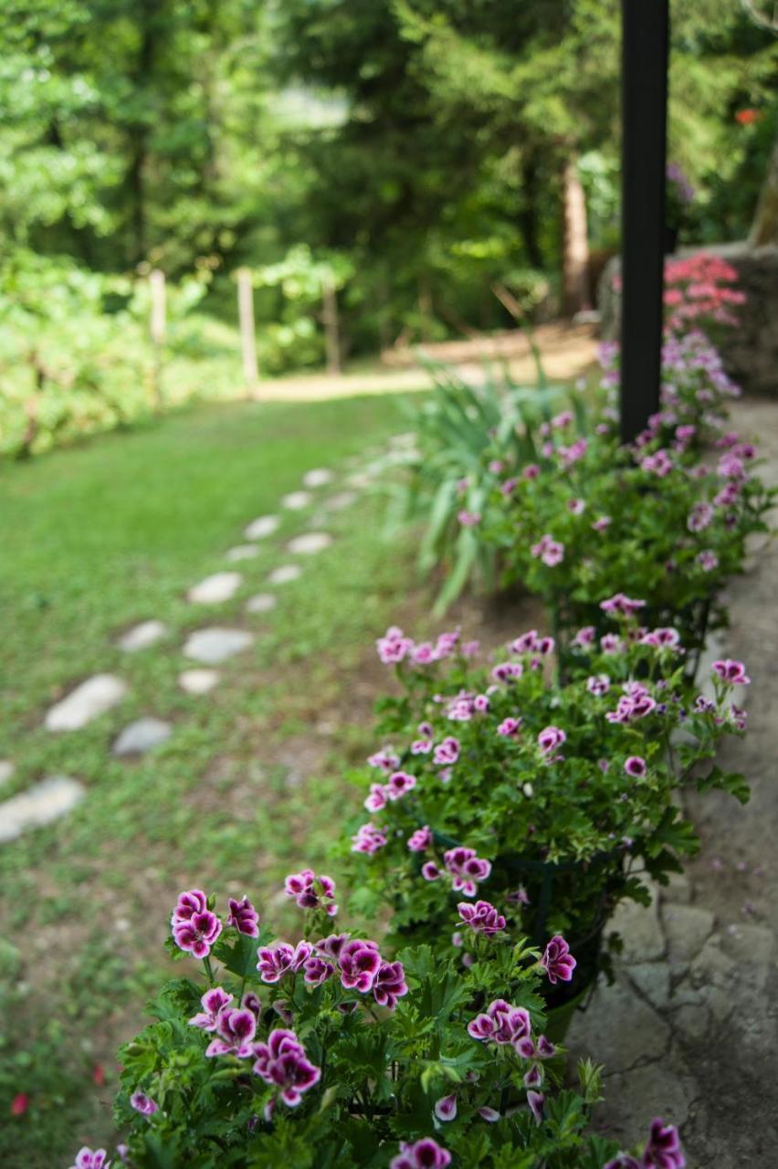 Secret Gardens Bed and Breakfast Borgomaro Εξωτερικό φωτογραφία